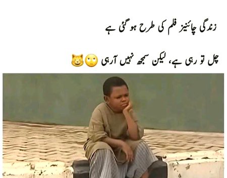 Memes & Satire image