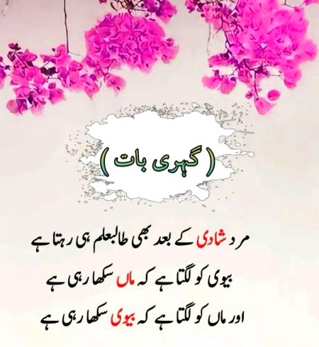 Memes & Satire image