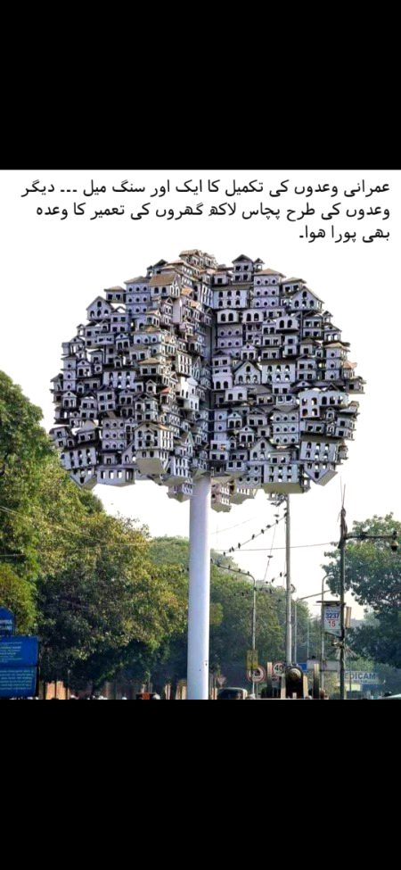 Memes & Satire image