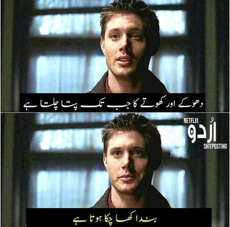 Memes & Satire image