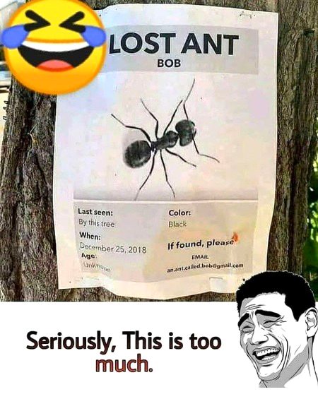 Memes & Satire image