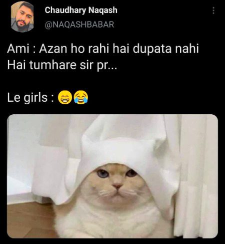 Memes & Satire image