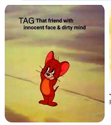 Memes & Satire image