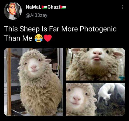 Memes & Satire image