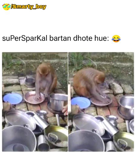 Damadam Roasting image