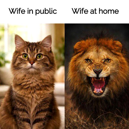 Memes & Satire image