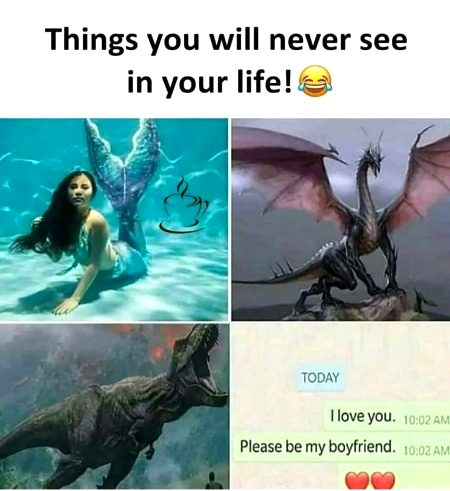 Memes & Satire image