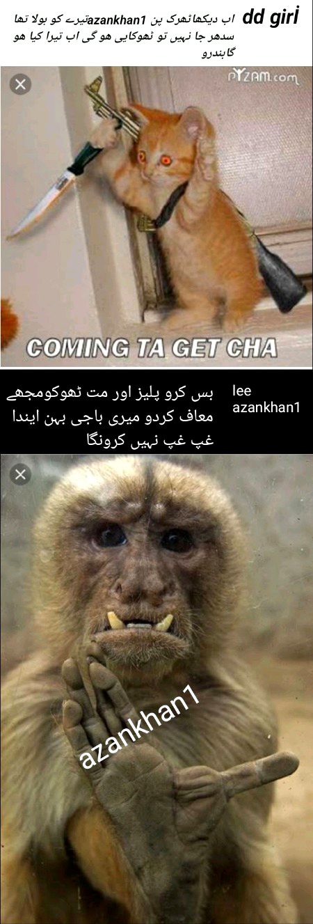 Damadam Roasting image