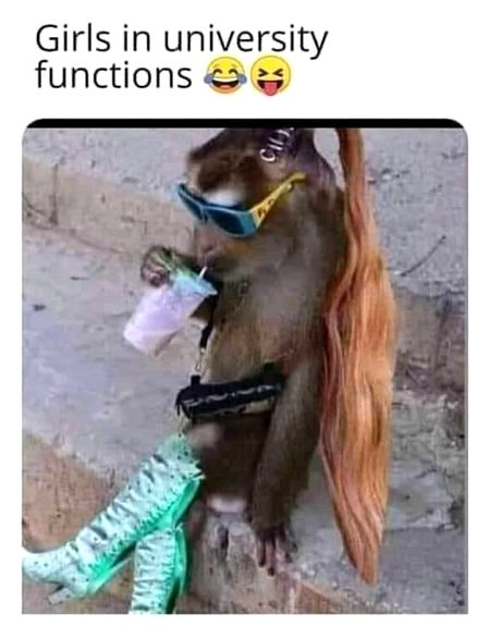 Memes & Satire image