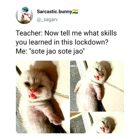 Memes & Satire image