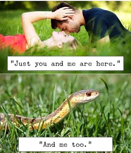 Life Advice image