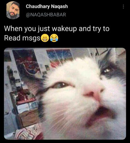 Memes & Satire image