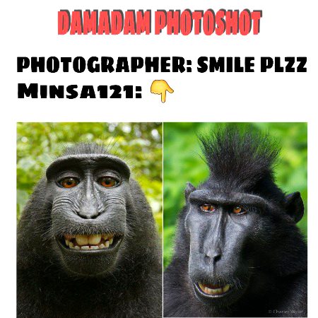 Memes & Satire image