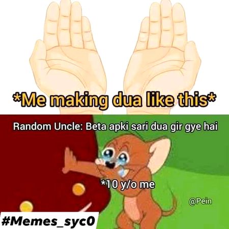 Memes & Satire image