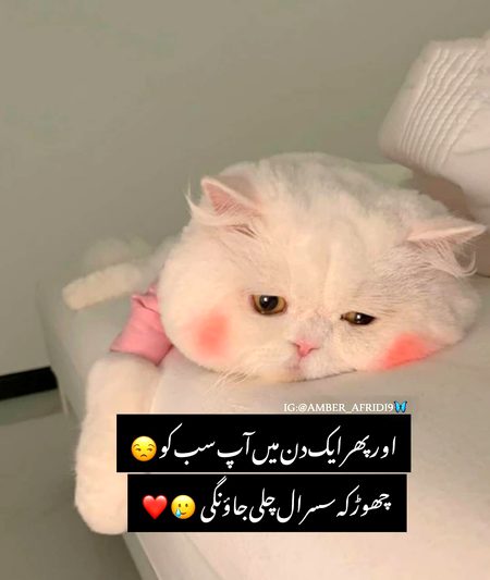 Jokes image