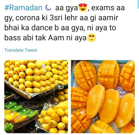 Memes & Satire image