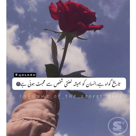 Memes & Satire image