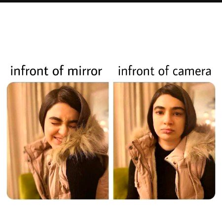 Memes & Satire image