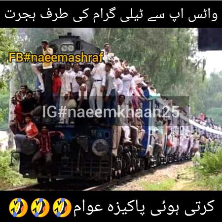 Memes & Satire image