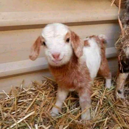 Beautiful Nature image