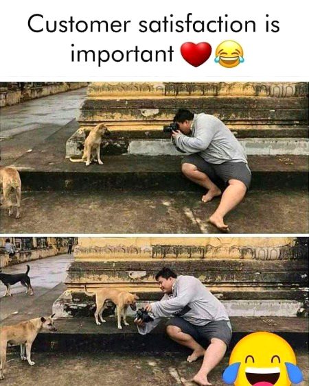 Memes & Satire image