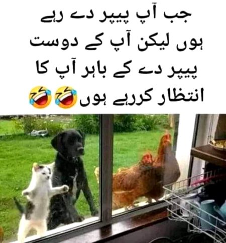 Jokes image