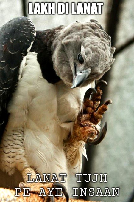 Memes & Satire image