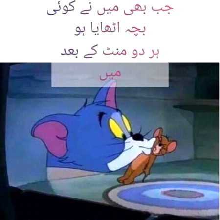 Memes & Satire image