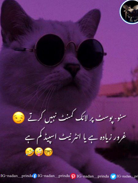 Jokes image