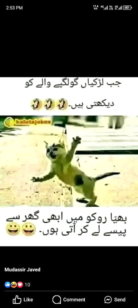 Memes & Satire image