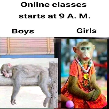 Memes & Satire image