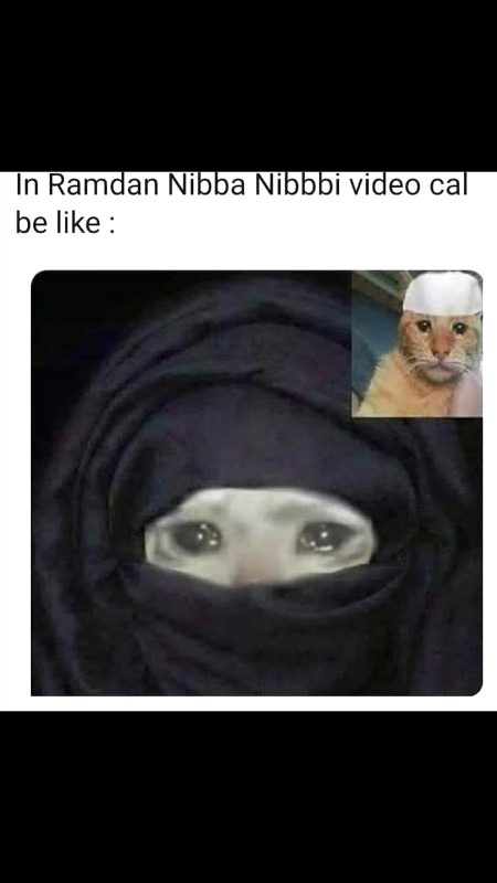 Memes & Satire image