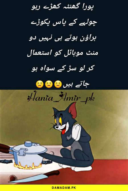 Memes & Satire image