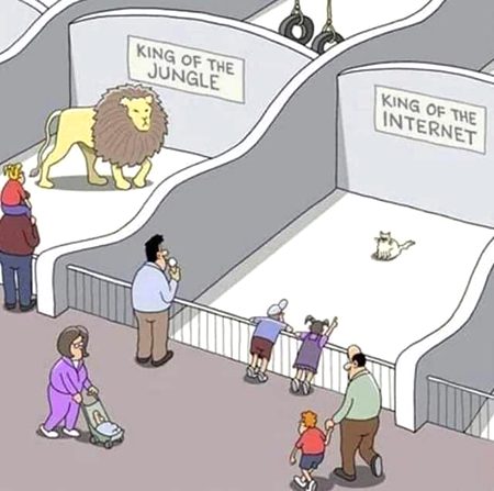 Memes & Satire image