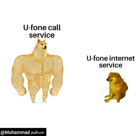 Memes & Satire image