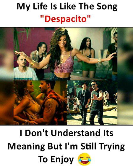 Memes & Satire image