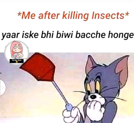 Memes & Satire image