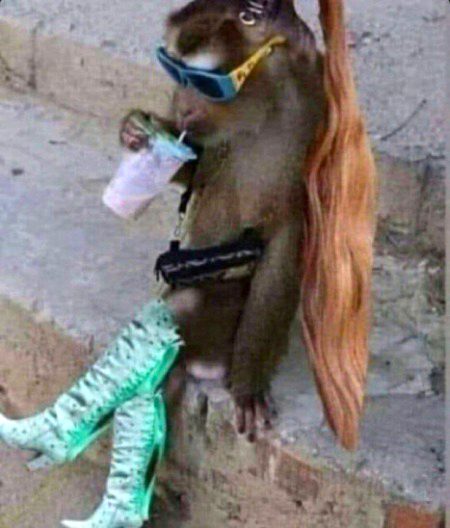 Beautiful Nature image