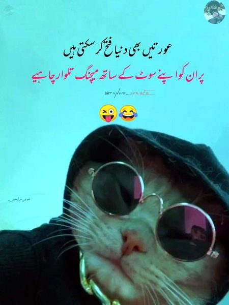 Memes & Satire image