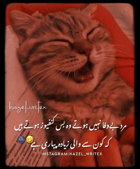 Jokes image