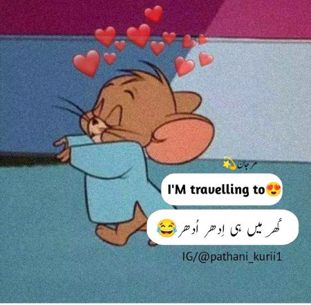 Memes & Satire image