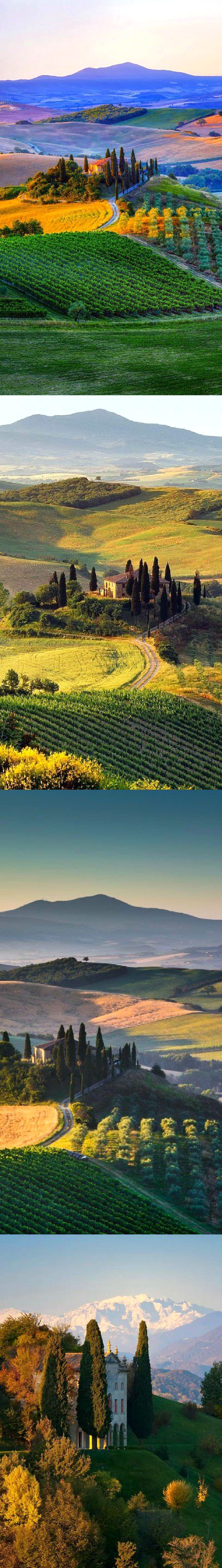 Beautiful Nature image