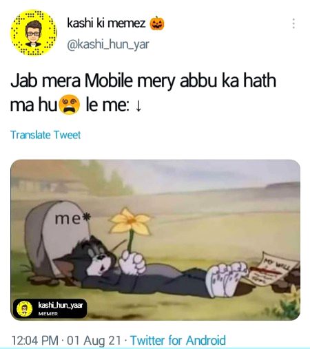 Memes & Satire image