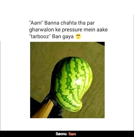 Memes & Satire image