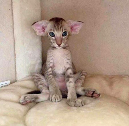 Beautiful Nature image