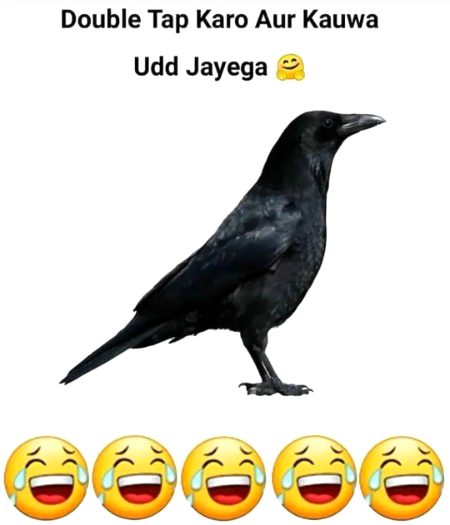 Jokes image