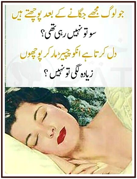 Memes & Satire image