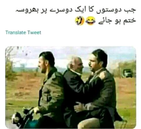 Memes & Satire image