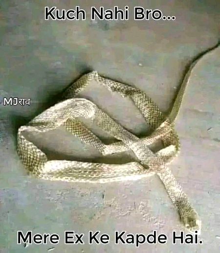 Memes & Satire image