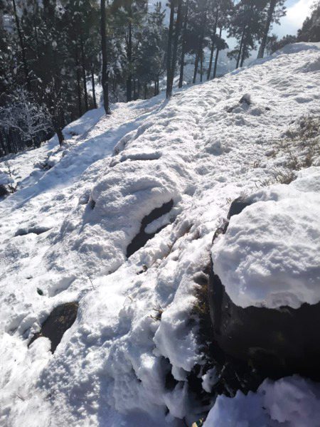 Beautiful Nature image